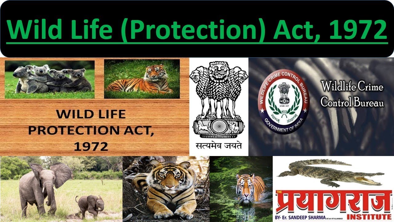 Wild Life Protection Act, 1972