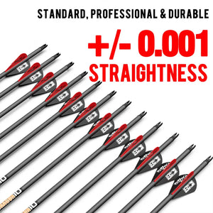 Slate Gray Sanlida® Dragon 10 Carbon Arrows (12 Pieces) SANLIDA