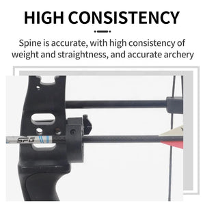 Lavender SPG 3K Pure Carbon Arrows 12PCS | 82cm Compound & Recurve Bow Shafts SPG