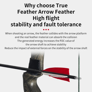 Lavender SPG AF106-JY 4 Inch Shield Shape Turkey Feather Arrow Fletching SPG