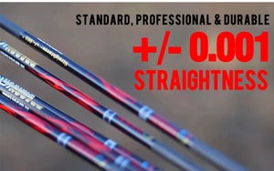 Dim Gray Sanlida® Dragon 10 Carbon Arrows (12 Pieces) SANLIDA