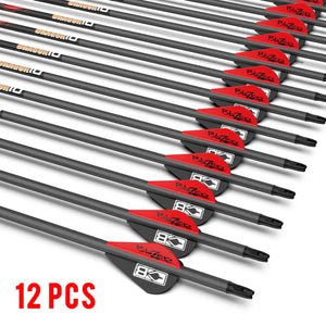 Dim Gray Sanlida® Dragon 10 Carbon Arrows (12 Pieces) SANLIDA