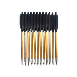 Dark Slate Gray Junxing 3A Crossbow LJ161 Arrows Set Of 12 Pieces JUNXING