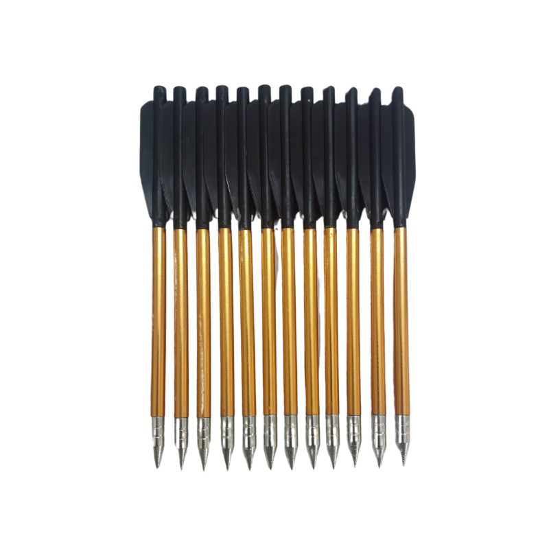 Dark Slate Gray Junxing 3A Crossbow LJ161 Arrows Set Of 12 Pieces JUNXING