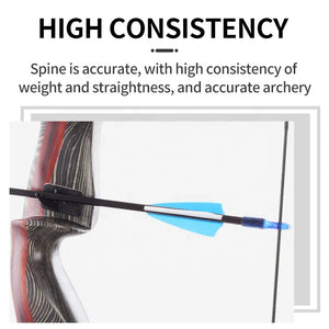 Dark Slate Gray SPG 6mm Fiberglass Arrows – 80cm Archery Arrows with Steel Tips SPG