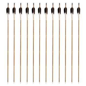 Sienna SPG 83cm Carbon Arrows | 400–600 Spine Turkey Feather Target Arrows SPG