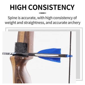 Dark Slate Gray SPG 85cm Carbon Arrows | 400–600 Spine Turkey Feather Target Arrows SPG