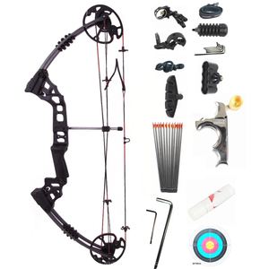 Light Gray Junxing Archery M120 Shooting Compound Bow and Arrows INDIAN SLINGSHOT