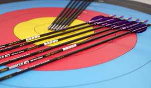 Light Sky Blue Sanlida® Miracle 10 Target Recurve Carbon Arrows – 12pcs SANLIDA