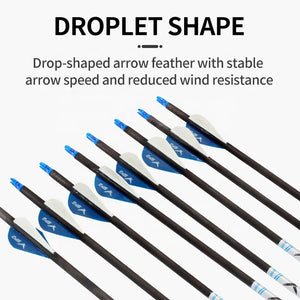 Dark Slate Gray SPG Pure Carbon Arrows 80cm | 250–500 Spine 6.2mm ID Precision Shafts SPG