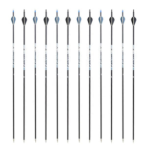 Dark Slate Gray SPG Pure Carbon Arrows 80cm | 250–500 Spine 6.2mm ID Precision Shafts SPG