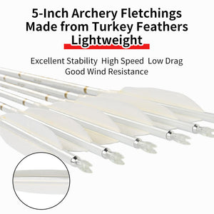White Smoke Archery Pure Carbon Target Arrows 400-800 Spine, 0.003" Straightness, 6.2mm ID, Turkey Feather Fletching, Screw-In Points SPG