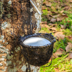 White Tiger 2Meter Rubber Band 0.45-0.75MM Thick Antifreeze Durable Quick Rebound Rubber Band Outdoor Slingshot Shooting Accessories