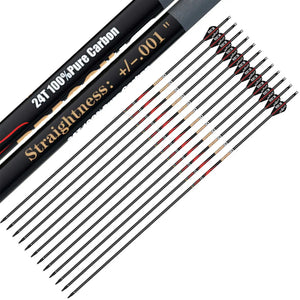 Dark Slate Gray Sanlida® Dragon 10 Carbon Arrows (12 Pieces) SANLIDA