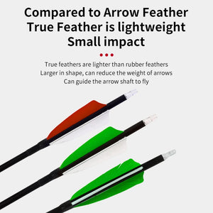 Lavender SPG 4 Inch Turkey Feather Arrow Fletching – Shield Shape for Archery Arrows SPG