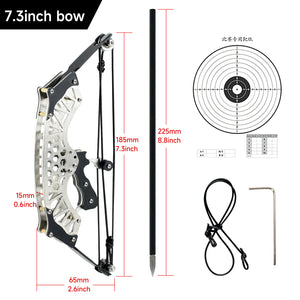 Light Gray Stainless Steel Mini Pulley Composite Bow Target Indoor And Outdoor Shooting INDIAN SLINGSHOT