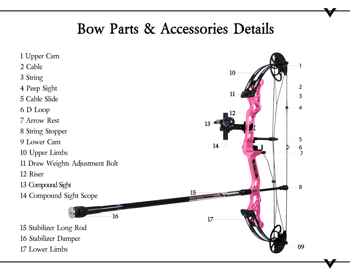 Thistle Sanlida® Archery Hero X8 Beginner Target Compound Bow Pro Kit SANLIDA