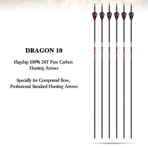 White Smoke Sanlida® Dragon 10 Compound Carbon Arrows 24pcs SANLIDA