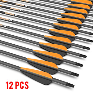 White Smoke Sanlida® Dragon 8 Compound Carbon Arrows 12pcs SANLIDA