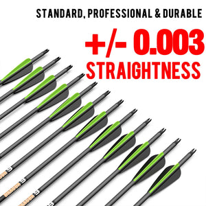 White Smoke Sanlida® Dragon 9 Compound Carbon Arrows – 12pcs | 100% 24T Pure Carbon | Precision Spine Options SANLIDA