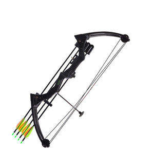 White Smoke Junxing M110 Compound Bow for Kids and Beginners JUNXING