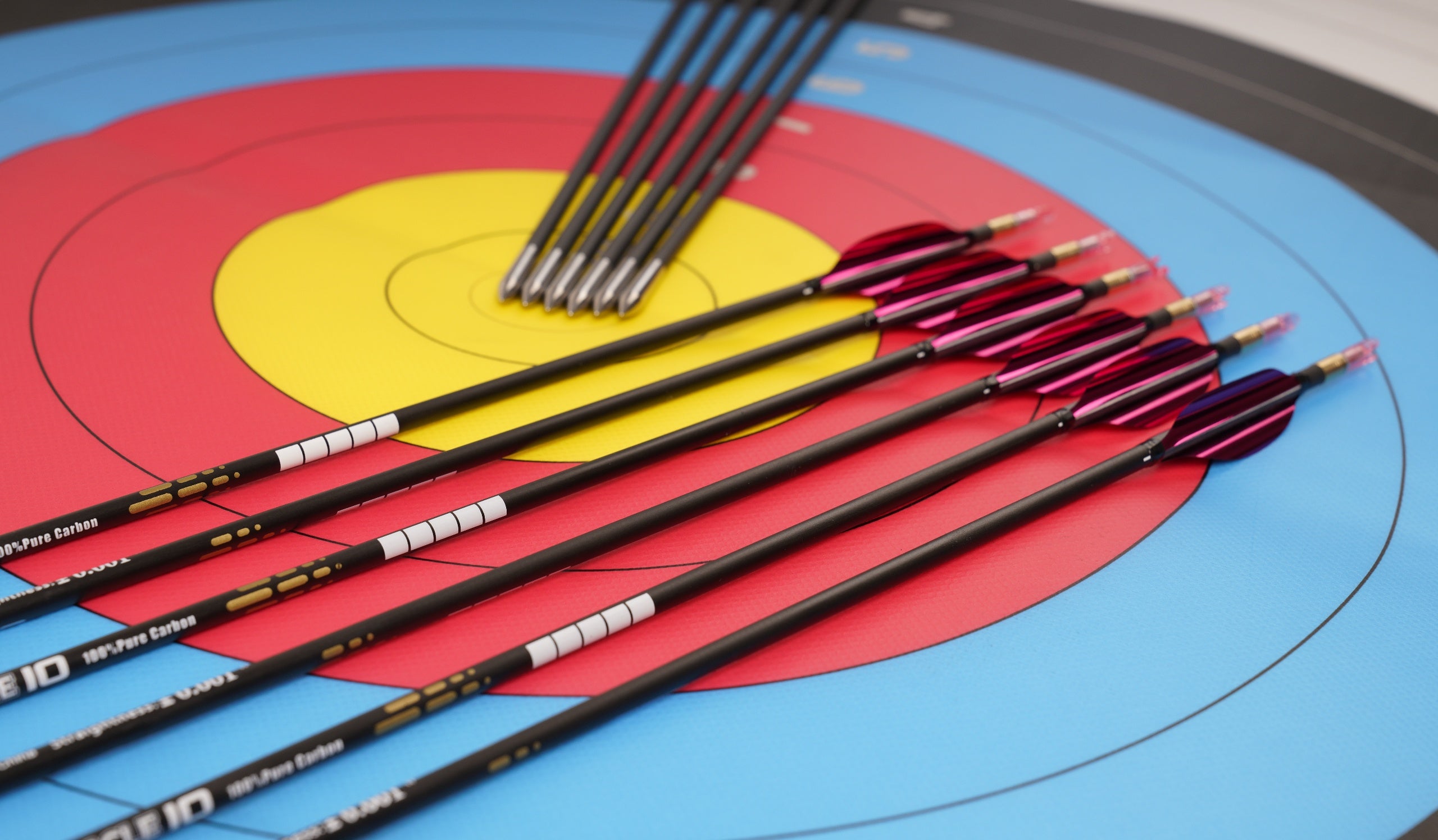 Sky Blue Sanlida® Miracle 10 Target Recurve Carbon Arrows – 12pcs SANLIDA
