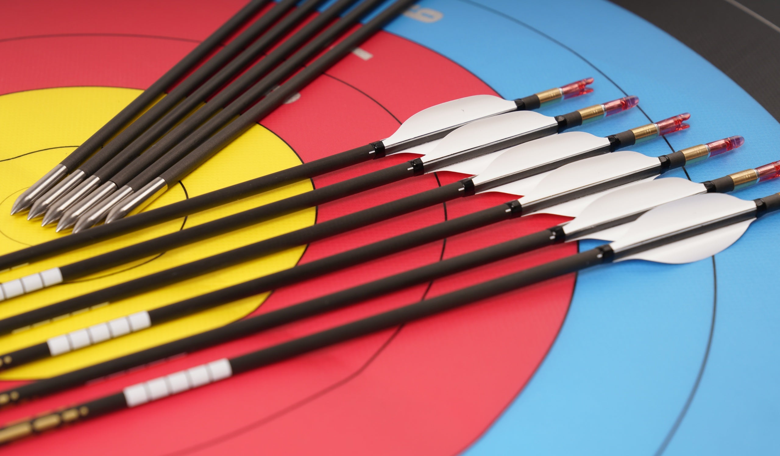 Sky Blue Sanlida® Miracle 9 Target Recurve Carbon Arrows 6pcs SANLIDA