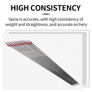 White Smoke SPG 4.2mm Pure Carbon Arrows – Slim ID Shaft for Recurve &amp; Compound (84&nbsp;cm) SPG
