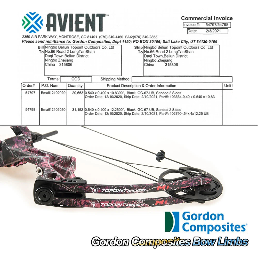 White Smoke TOPOINT M1 Women’s Compound Bow and Arrow Package Topoint