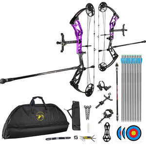 White Smoke TOPOINT T1 Target Compound Bow Competition Package with 12 Arrows Topoint